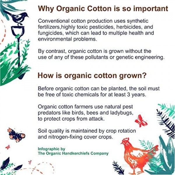 Organic Handkerchiefs Co Men’s Hankies Organic Cotton 11 inch square Pack of 3