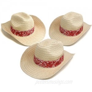 12 Piece Western Cowboy Hats with Red Bandana - Bulk Adult Western Straw Hats for Cowboy or Rodeo Theme Party