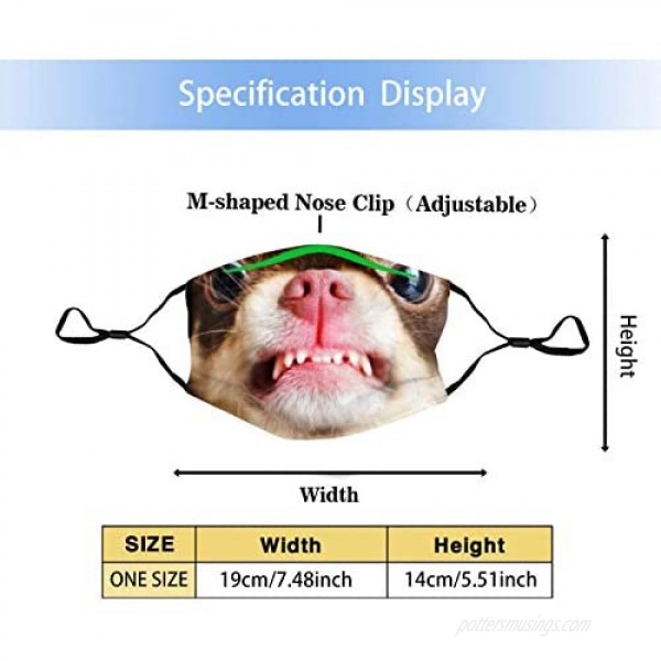 Chihuahua Dog Looking Angry Mouth Cover Washable With 2 Pcs Filters Reusable Funny Animals Mouth Scarf With Pocket