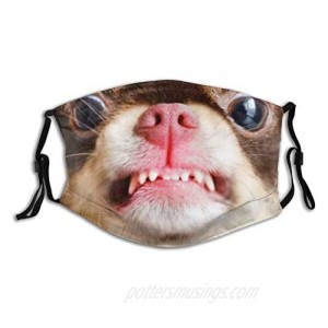 Chihuahua Dog Looking Angry Mouth Cover Washable With 2 Pcs Filters  Reusable Funny Animals Mouth Scarf With Pocket