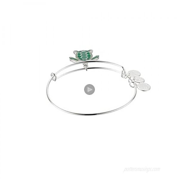 Alex and Ani Color Infusion Turtle EWB SS Shiny Silver