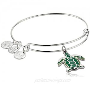 Alex and Ani Color Infusion Turtle EWB  SS  Shiny Silver