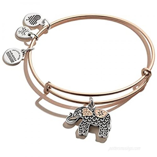 Alex and Ani Path of Symbols Expandable Bangle for Women Elephant Charm Two-Tone Finish 2 to 3.5 in