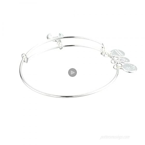 Alex and Ani Women's Swarovski Color Code Bangle April Clear Crystal Bracelet Shiny Silver Expandable