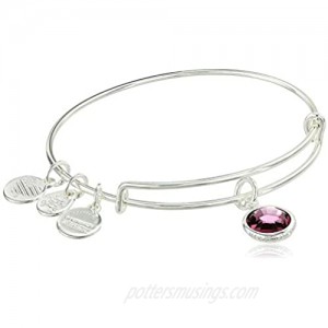 Alex and Ani Women's Swarovski Color Code Bangle February Amethyst Bracelet  Shiny Silver  Expandable