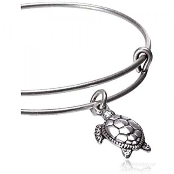 Alex and Ani Charity By Design Turtle Rafaelian Bangle Bracelet