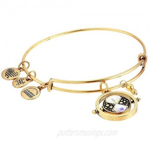 Alex and Ani Harry Potter Time Turner Bangle Bracelet Shiny Gold One Size