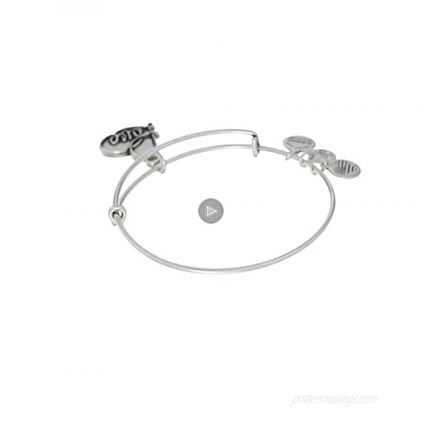 Alex and Ani Path of Symbols Expandable Bangle for Women Love Charm Rafaelian Finish 2 to 3.5 in