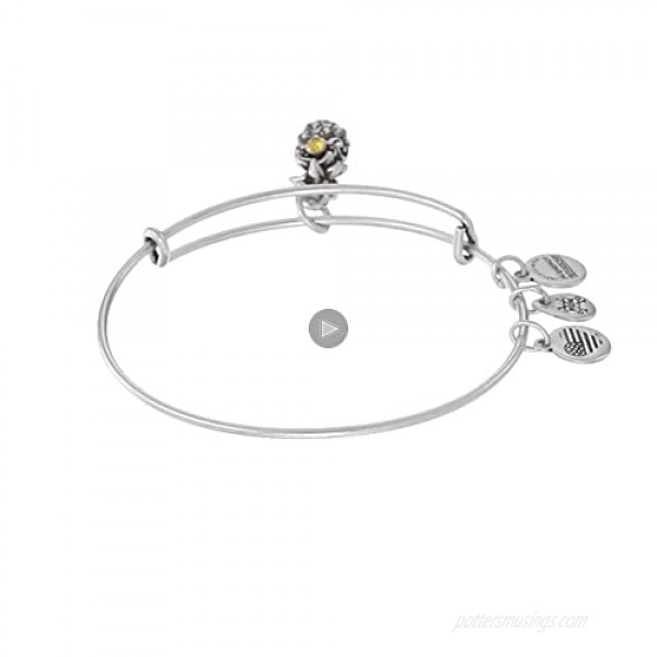 Alex and Ani Path of Symbols Expandable Bangle for Women Pineapple Charm Rafaelian Finish 2 to 3.5 in