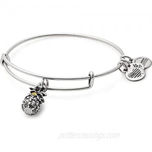 Alex and Ani Path of Symbols Expandable Bangle for Women  Pineapple Charm  Rafaelian Finish  2 to 3.5 in