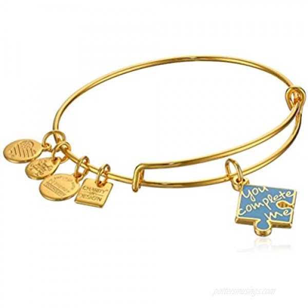 Alex and ANI Womens Charity by Design You Complete Me EWB Bracelet Expandable