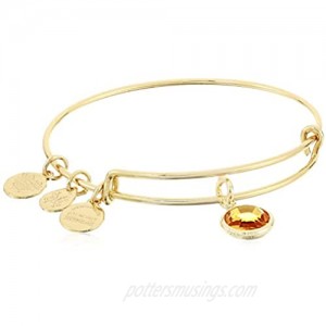 Alex and Ani Women's Swarovski Color Code Bangle November Topaz Bracelet  Shiny Gold