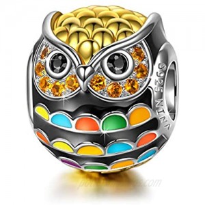 NINAQUEEN Wisdom Owl 925 Sterling Silver Charms  Colorful Enamel Applied by Hand  Graduation Gifts with Jewelry Box  Fit for Pandora Charms Bracelet