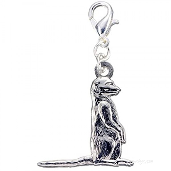 Natural History Museum Official Silver Plated Charm